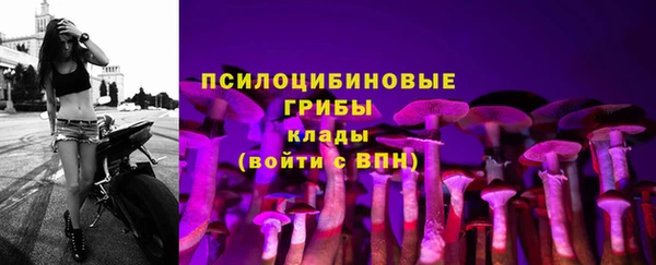 ECSTASY Вязьма