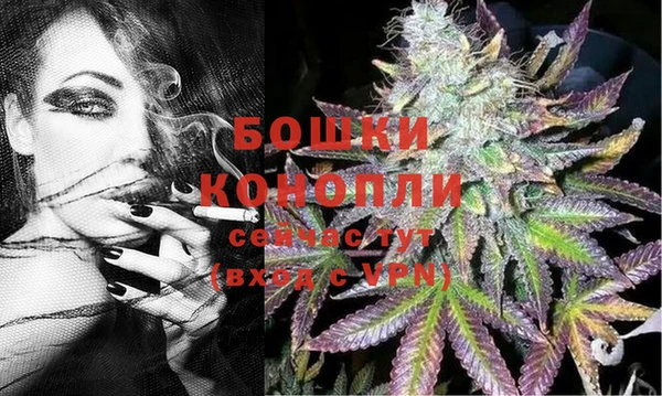 прущие грибы Володарск