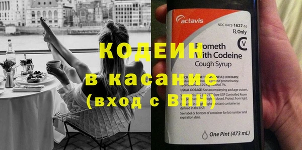 прущие грибы Володарск