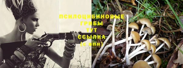 мескалин Вяземский