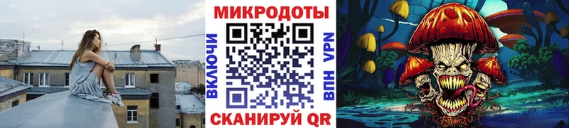 Псилоцибиновые грибы Psilocybe  Купить закладки  Зеленодольск 